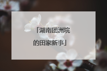 湖南团洲垸的田家新事